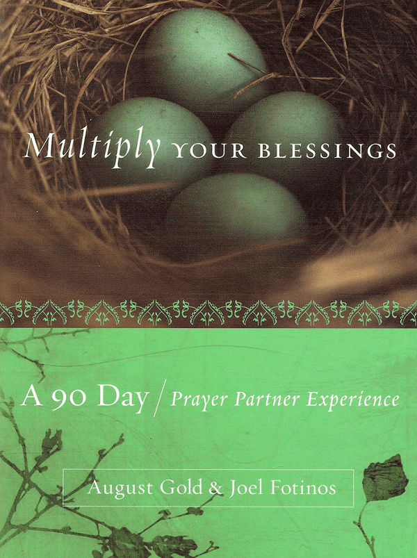 A 9 0 day prayer partner experience